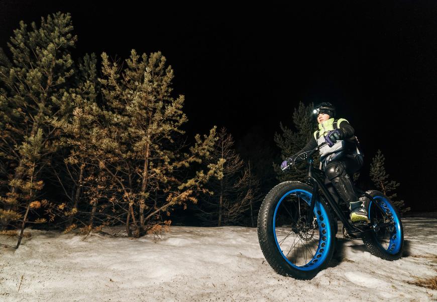 E-Fatbikes