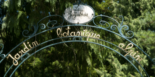 Jardin botanique de la Jaÿsinia