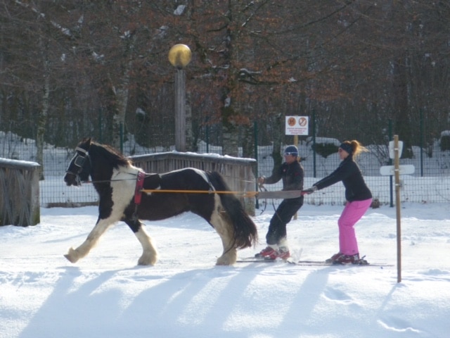 Ski joering à Samoëns