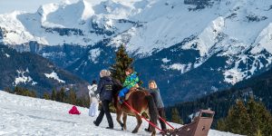 Poney luge à Samoëns 1600