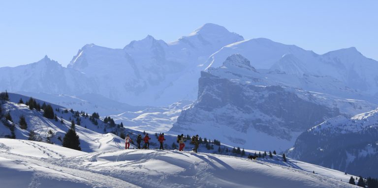 Sorties accompagnées en raquettes à neige