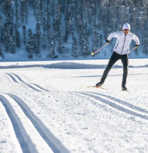 ski de fond - hiver - paysage