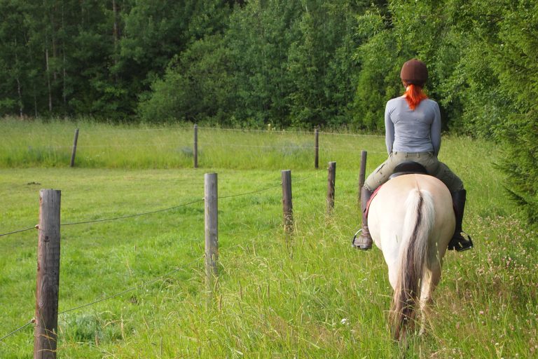 Activité équitation à Samoëns