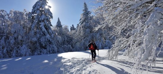 raquette vallée du haut giffre