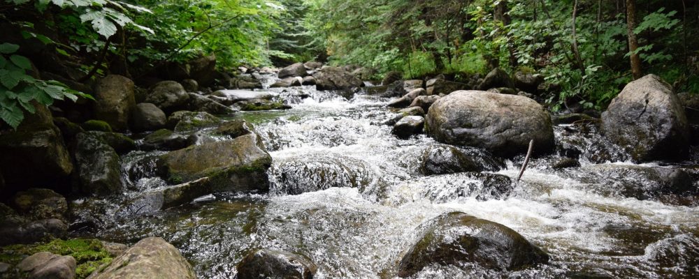 Little,River,In,Quebec,,Canada