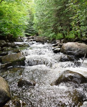 rivière - giffre - paysage