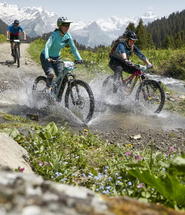 VTT AE dans les montagnes du Giffre