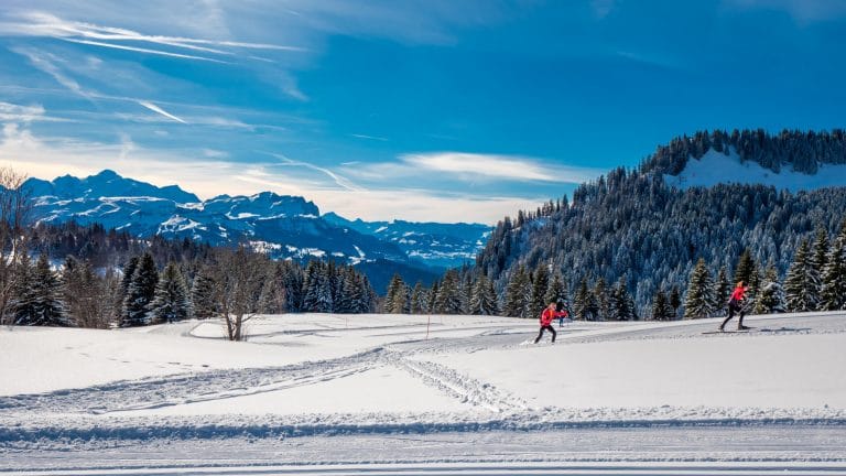 Ski de fond