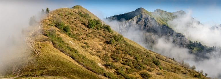 Trail running