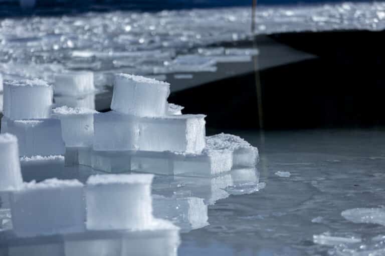 La nage en eau glacée