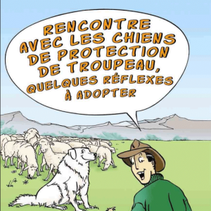 Capture d'écran 2025-05-22 155740