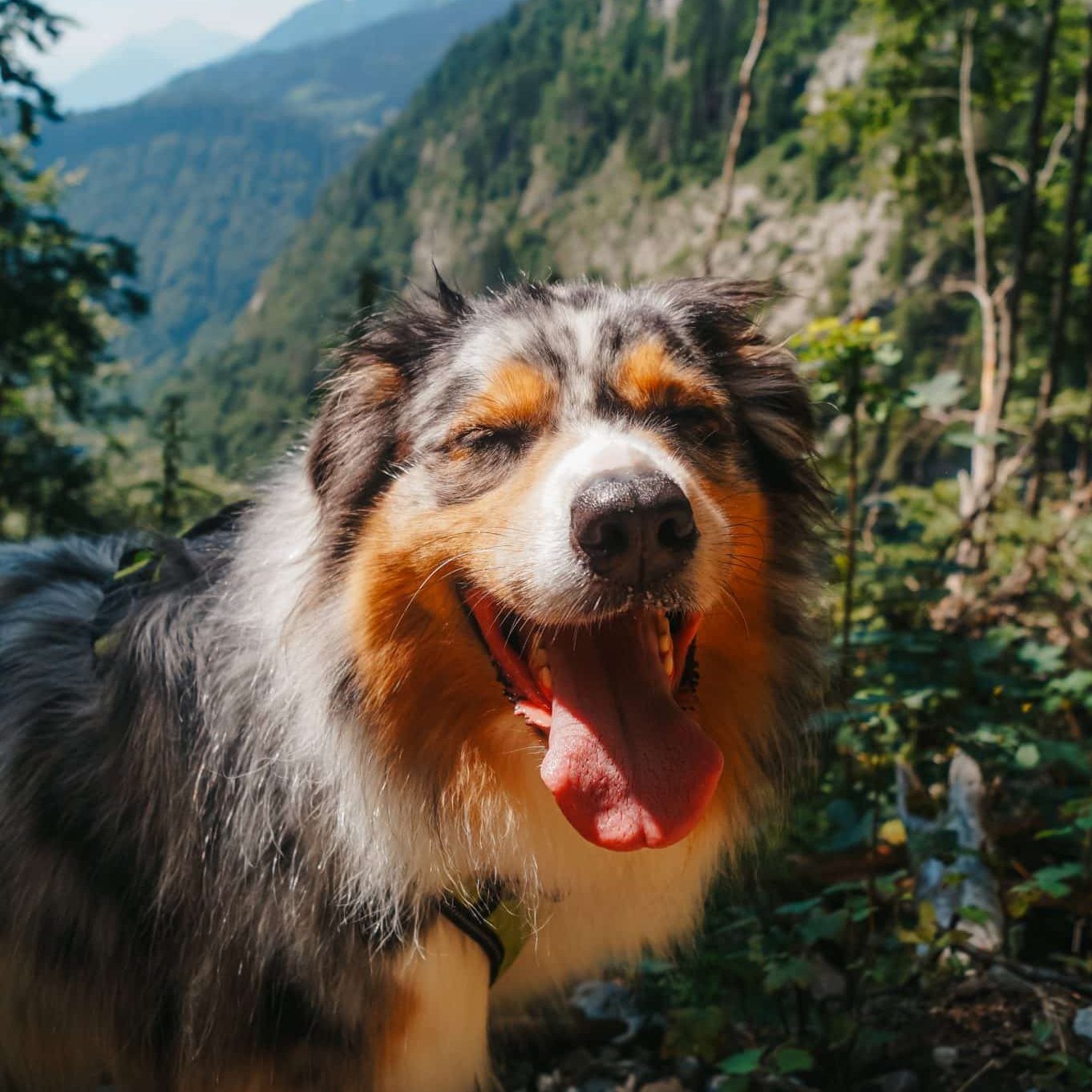 Vers le refuge de folly