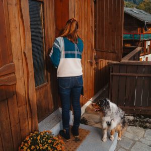 CHALET CHIEN AUTOMNE BALADE RESERVATIONS LOCATION MEUBLE @clemencepriez