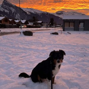 Couché de soleil criou- Mélina OT Couché de soleil criou- Mélina OT