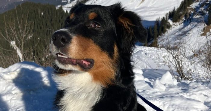 Joux plane hiver- Mélina OT Joux plane hiver- Mélina OT