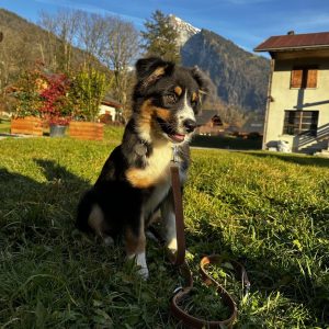 Vaya au soleil- Colyne OT Vaya au soleil- Colyne OT