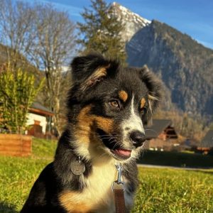 Vaya au soleil- Colyne OT Vaya au soleil- Colyne OT