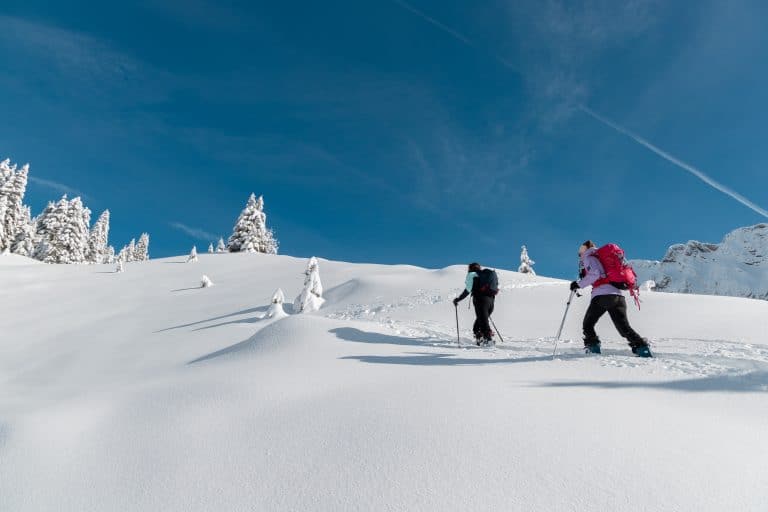 Ski de randonnée